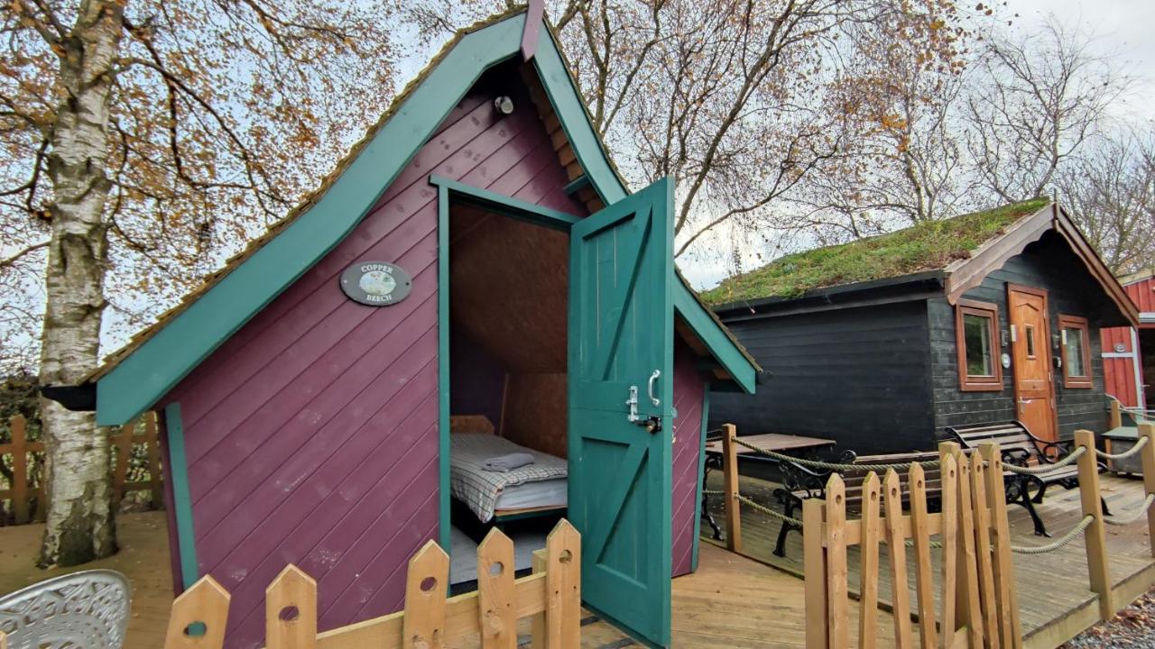 Апартаменты Seaways Glamping, Copper Beech Driffield Экстерьер фото